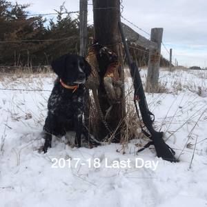 Meet your Posher, Scott